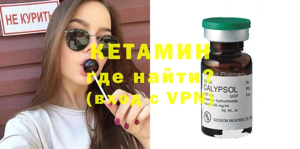 шишки Михайловск