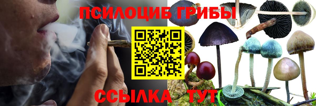 Псилоцибиновые грибы Cubensis Южно-Сахалинск