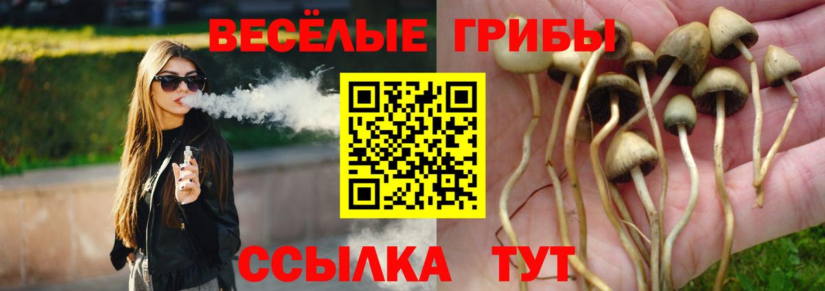 Южно-Сахалинск  Галлюциногенные грибы GOLDEN TEACHER  Вход с VPN 